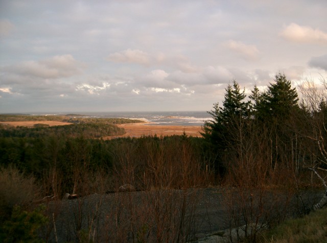 Picture 040